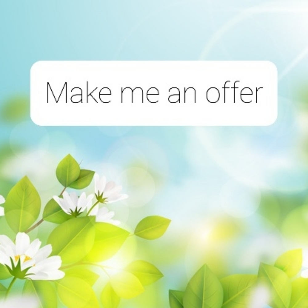 ***Make me an offer***